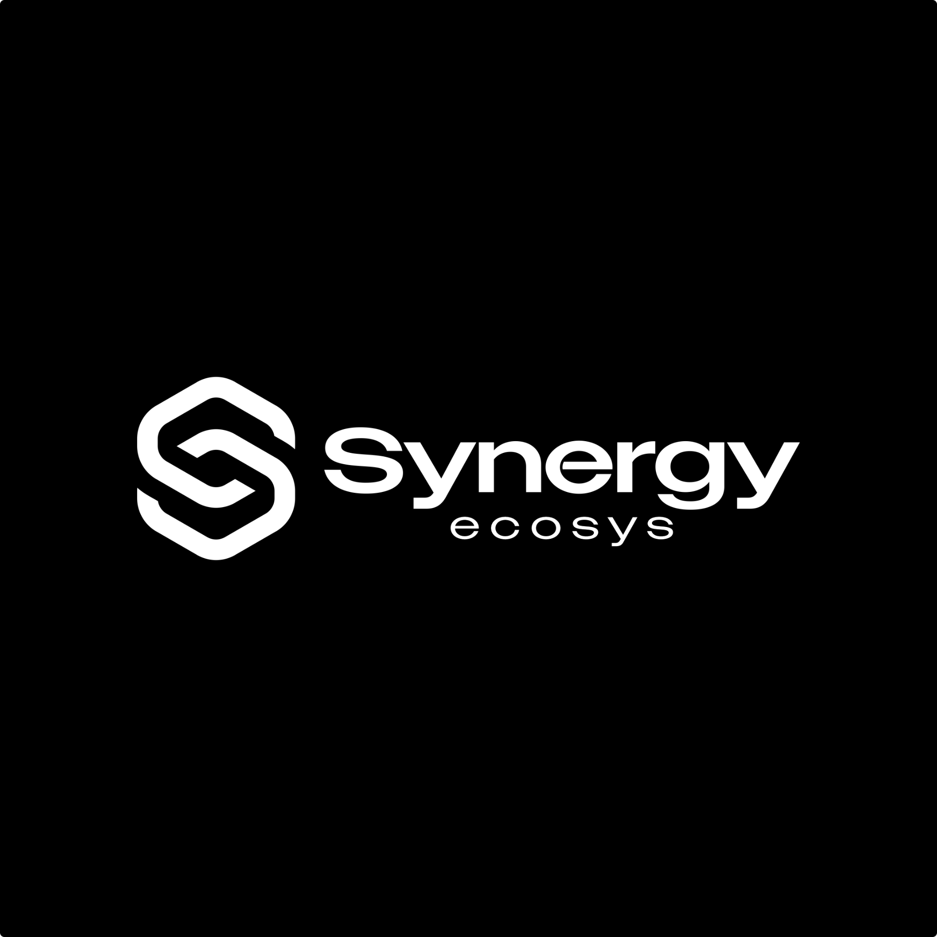Synergy Ecosys
